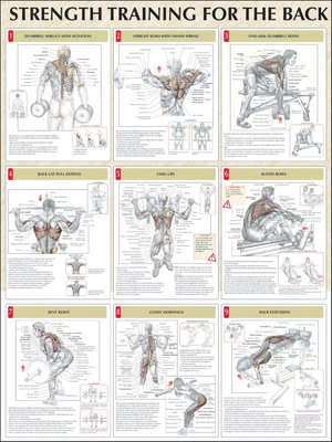 strength training anatomy free pdf
